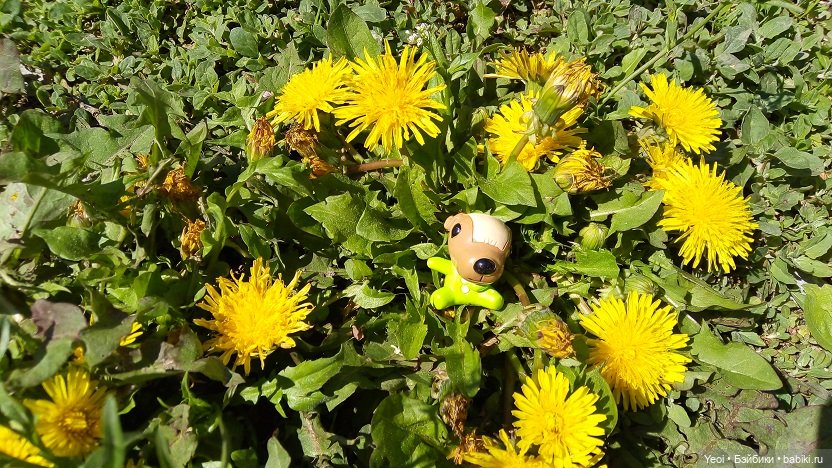 Прогулка сегодня: солнышко и дождик