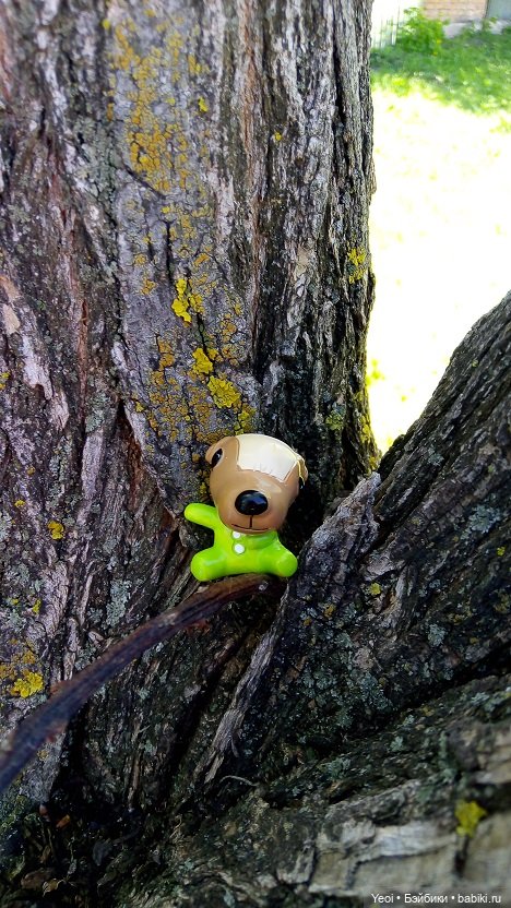 Прогулка сегодня: солнышко и дождик