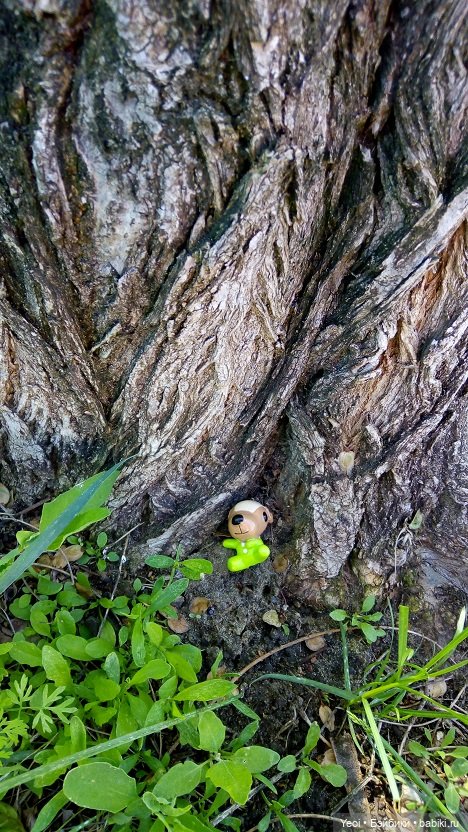 Прогулка сегодня: солнышко и дождик