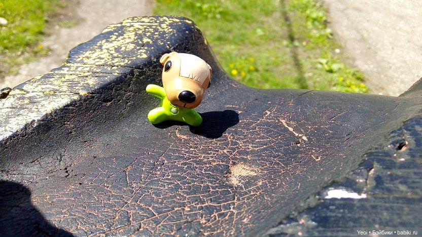 Прогулка сегодня: солнышко и дождик (фото 10)