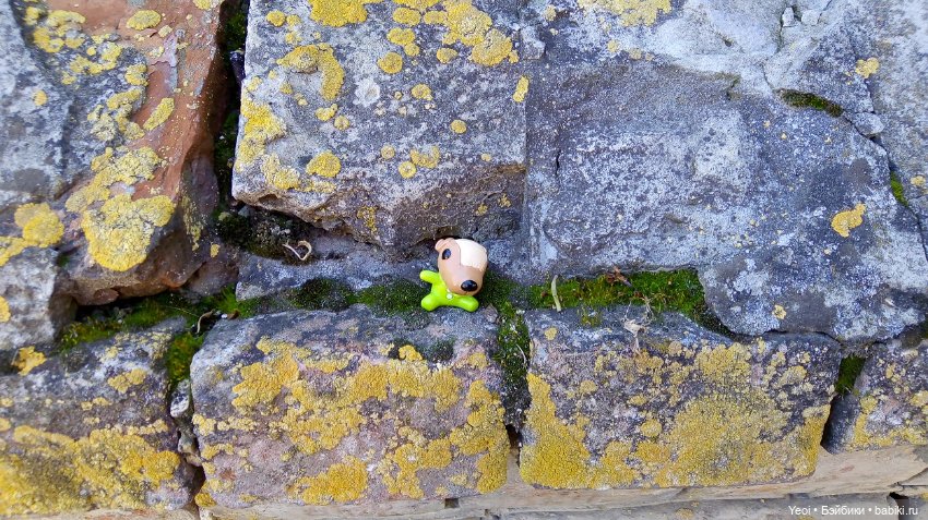 Прогулка сегодня: солнышко и дождик