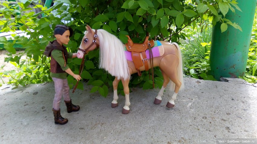 Прогулка с Хантером ЭАХ и Лошадью Лив (фото 6)