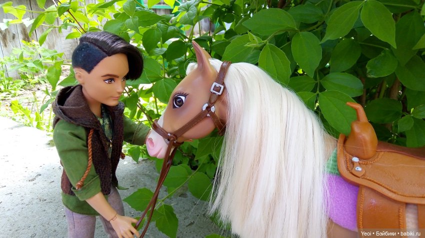 Прогулка с Хантером ЭАХ и Лошадью Лив (фото 7)