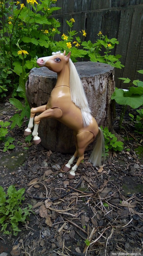 Прогулка с Хантером ЭАХ и Лошадью Лив (фото 4)