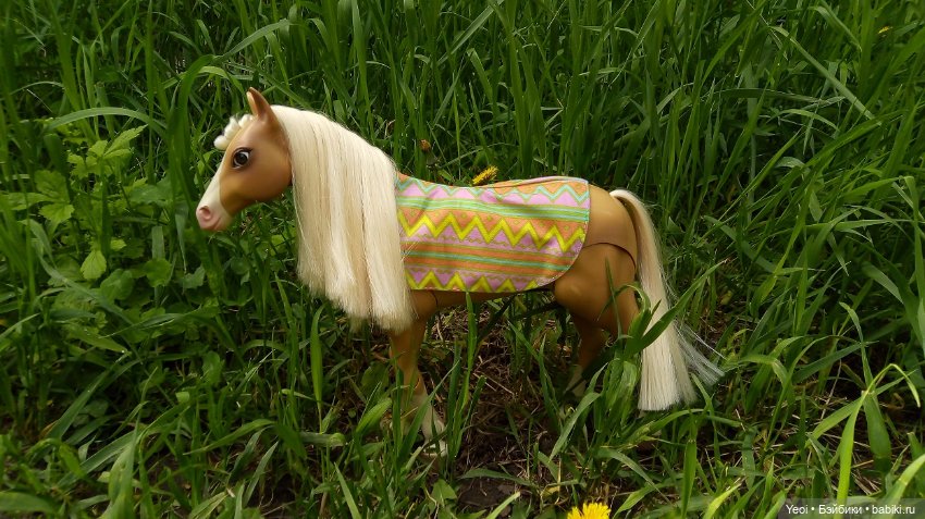 Прогулка с Хантером ЭАХ и Лошадью Лив