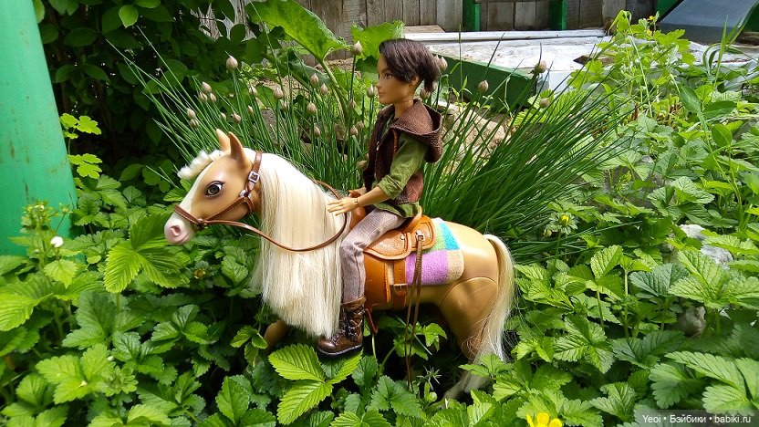 Прогулка с Хантером ЭАХ и Лошадью Лив