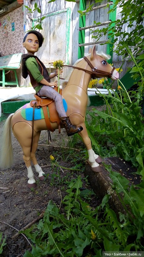 Прогулка с Хантером ЭАХ и Лошадью Лив