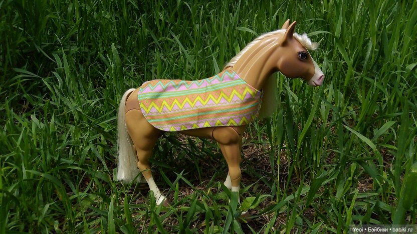 Прогулка с Хантером ЭАХ и Лошадью Лив (фото 2)