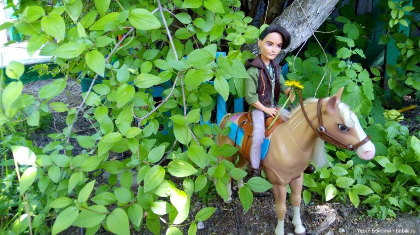 Прогулка с Хантером ЭАХ и Лошадью Лив