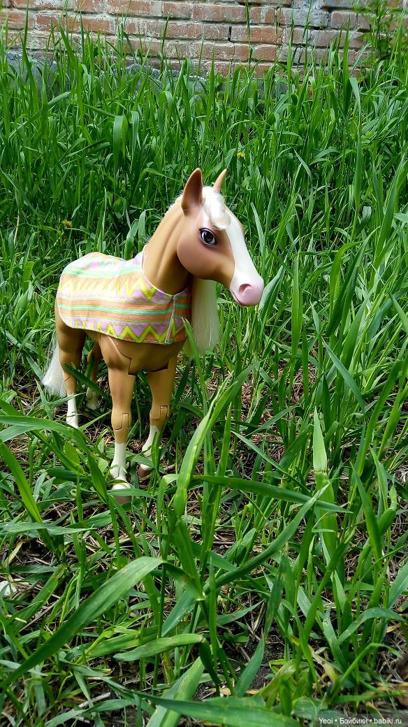 Прогулка с Хантером ЭАХ и Лошадью Лив (фото 3)