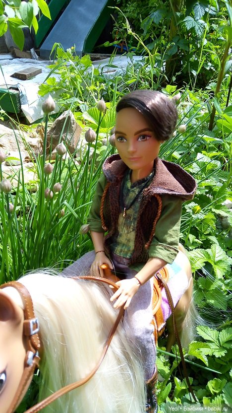 Прогулка с Хантером ЭАХ и Лошадью Лив