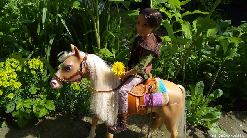 Прогулка с Хантером ЭАХ и Лошадью Лив