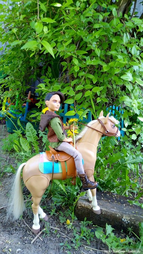 Прогулка с Хантером ЭАХ и Лошадью Лив