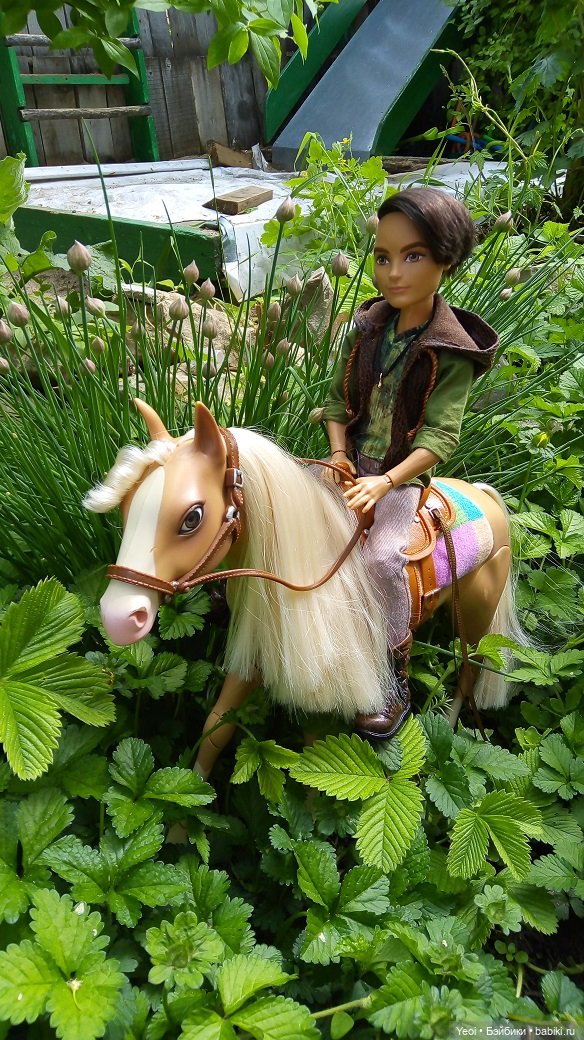 Прогулка с Хантером ЭАХ и Лошадью Лив (фото 10)