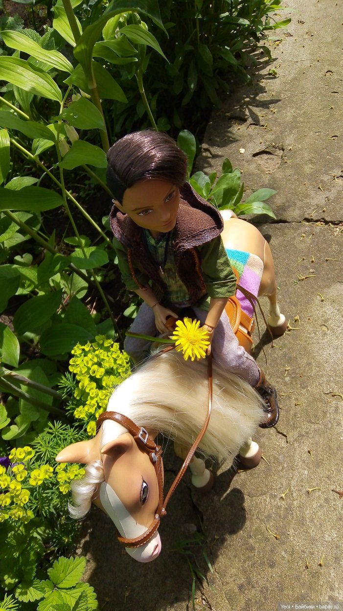 Прогулка с Хантером ЭАХ и Лошадью Лив