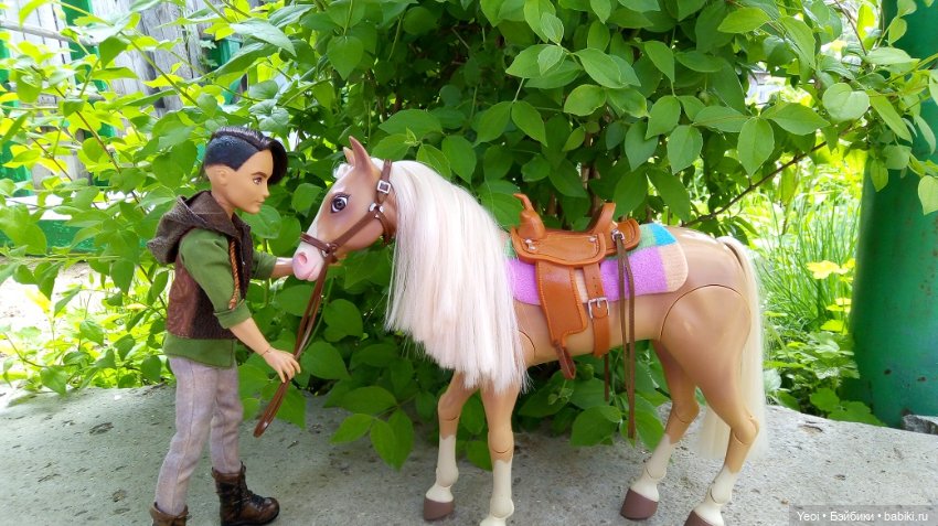 Прогулка с Хантером ЭАХ и Лошадью Лив (фото 9)