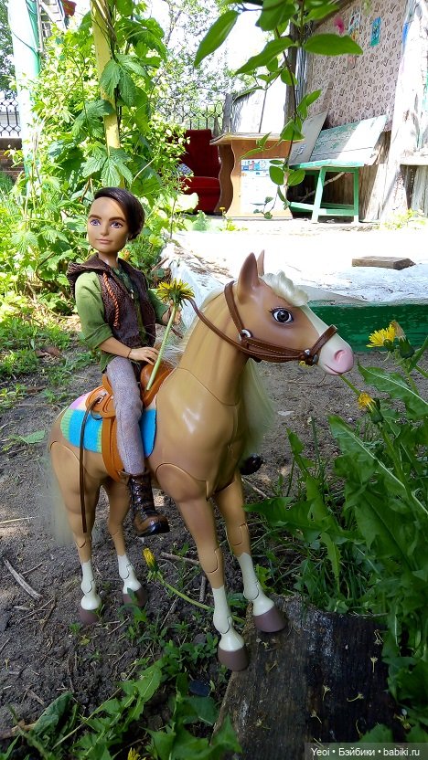 Прогулка с Хантером ЭАХ и Лошадью Лив