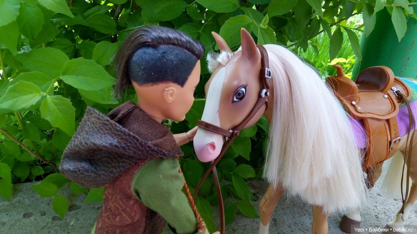 Прогулка с Хантером ЭАХ и Лошадью Лив (фото 8)