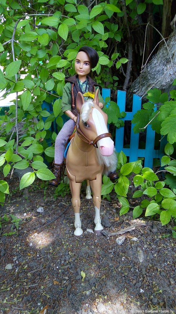 Прогулка с Хантером ЭАХ и Лошадью Лив