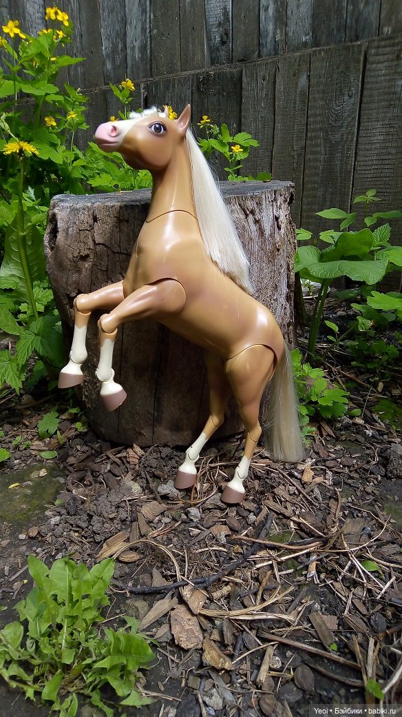 Прогулка с Хантером ЭАХ и Лошадью Лив (фото 5)