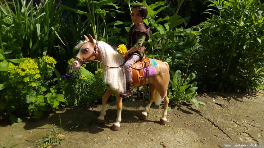 Прогулка с Хантером ЭАХ и Лошадью Лив