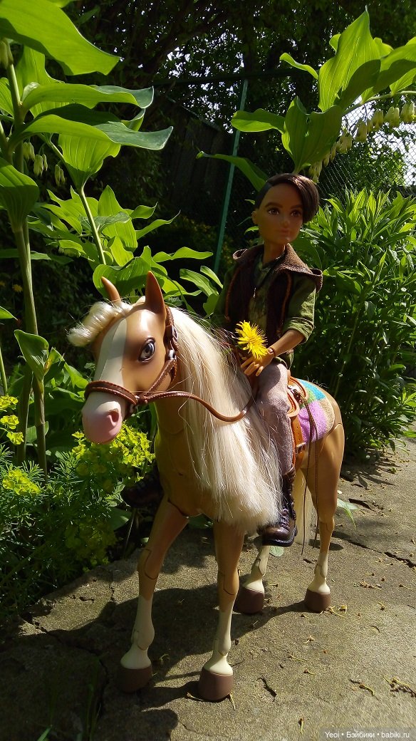 Прогулка с Хантером ЭАХ и Лошадью Лив