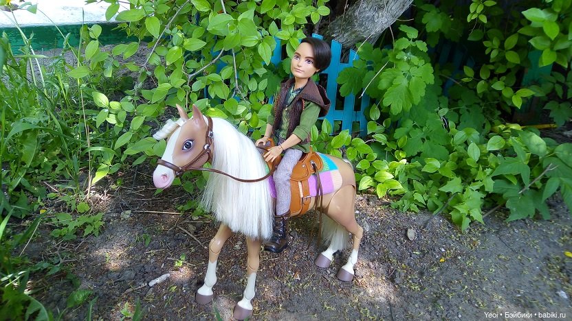 Прогулка с Хантером ЭАХ и Лошадью Лив