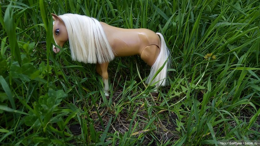 Прогулка с Хантером ЭАХ и Лошадью Лив