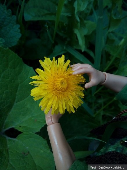 Прогулка с Хантером ЭАХ и Лошадью Лив