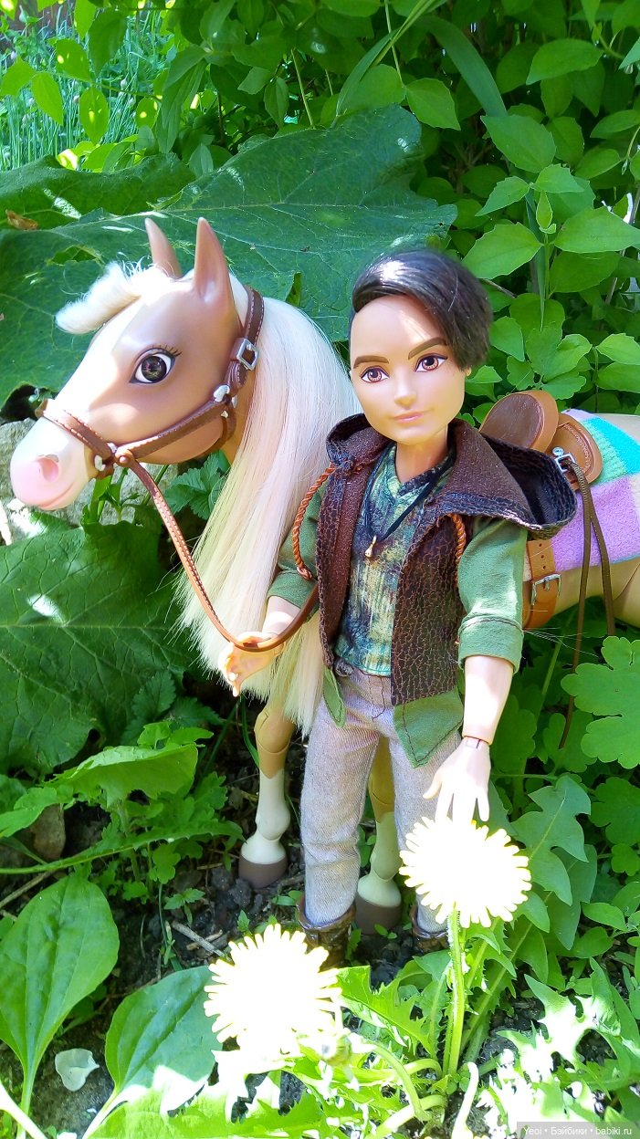 Прогулка с Хантером ЭАХ и Лошадью Лив