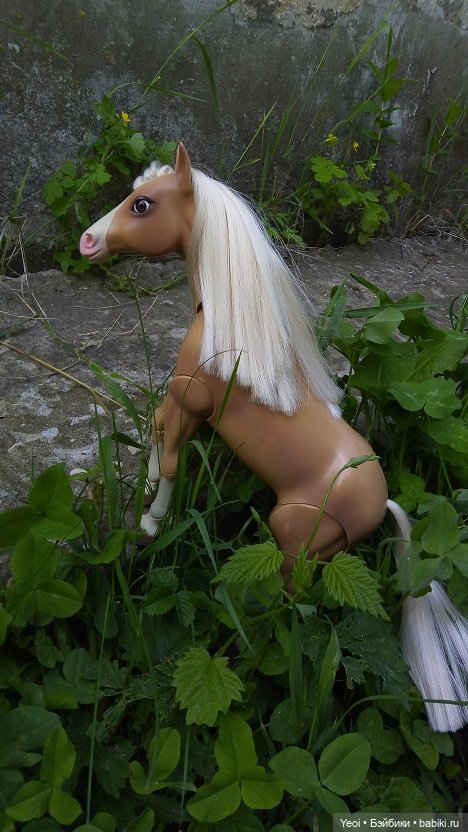 Прогулка с Хантером ЭАХ и Лошадью Лив