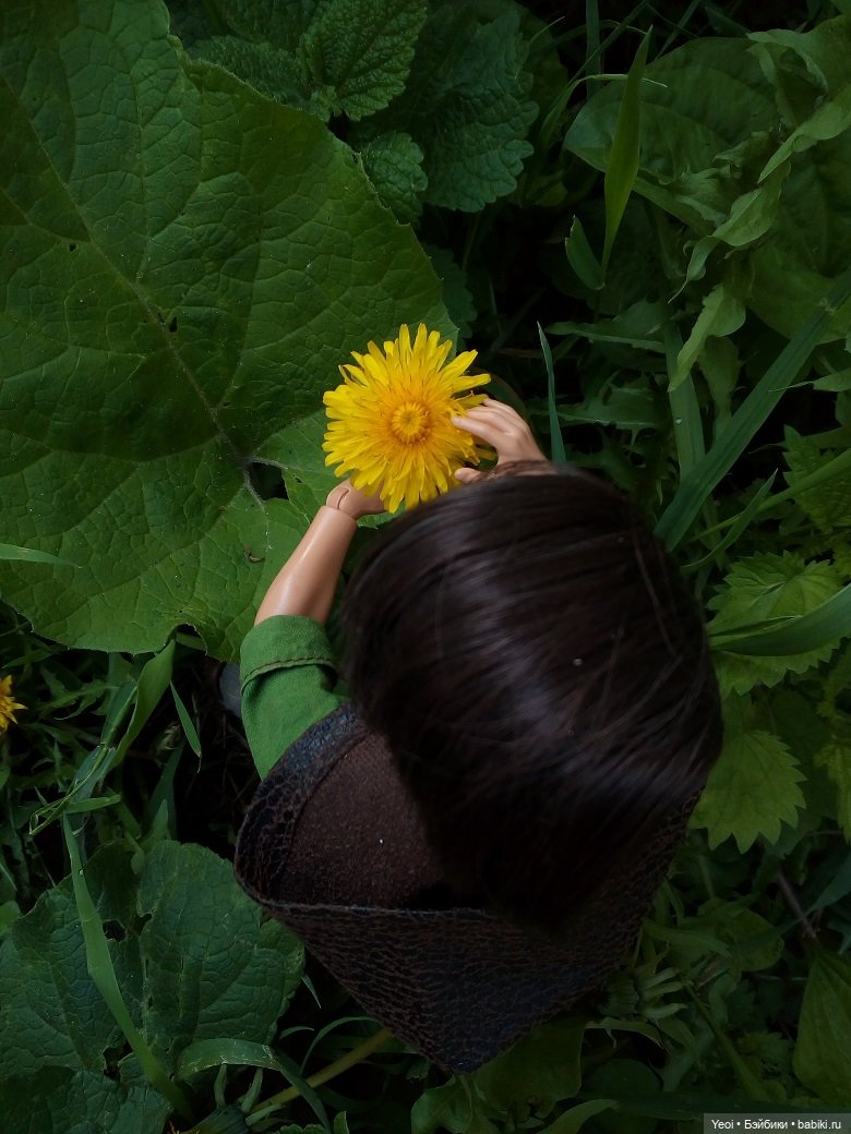 Прогулка с Хантером ЭАХ и Лошадью Лив