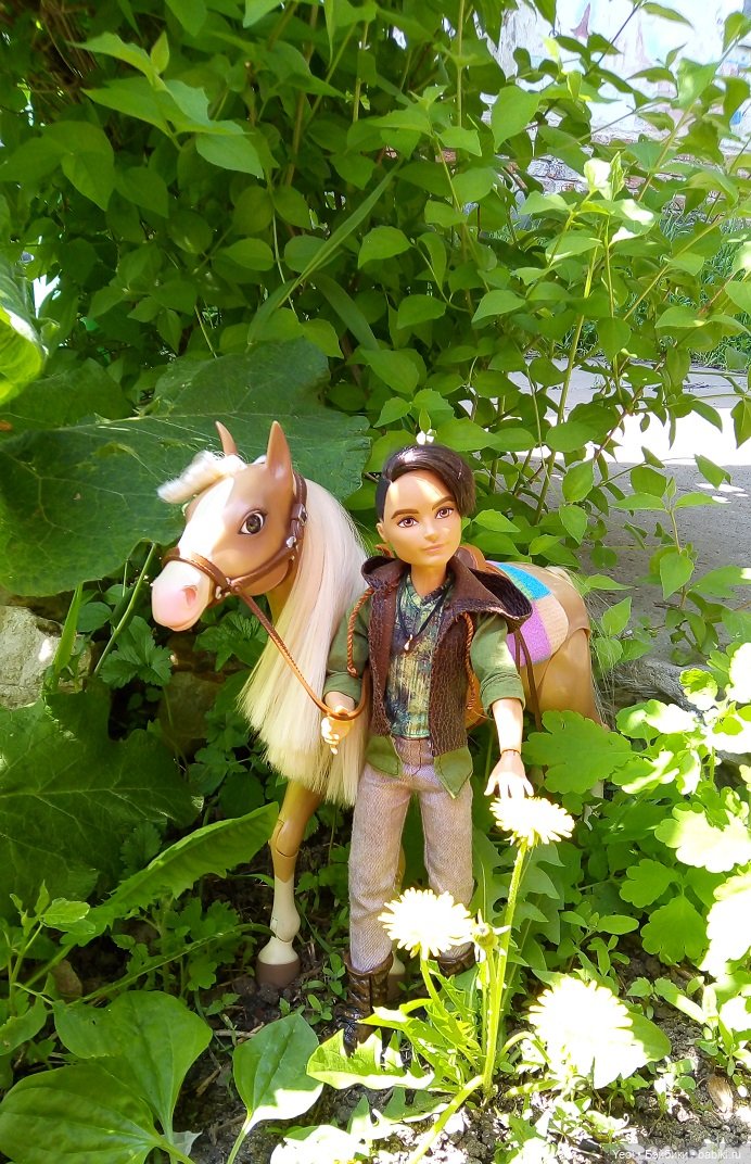 Прогулка с Хантером ЭАХ и Лошадью Лив