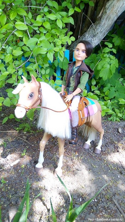 Прогулка с Хантером ЭАХ и Лошадью Лив