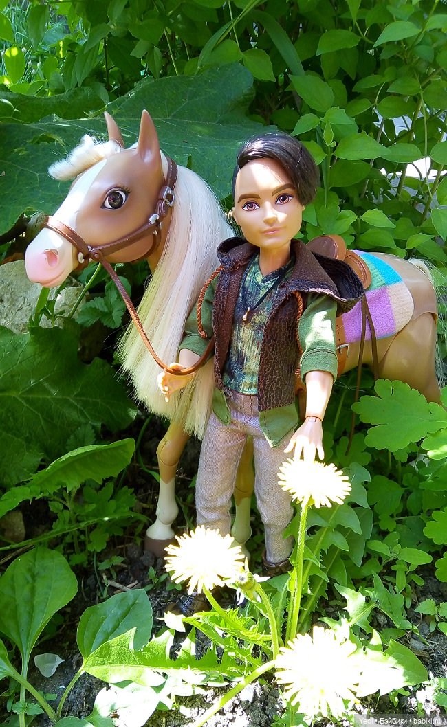 Прогулка с Хантером ЭАХ и Лошадью Лив