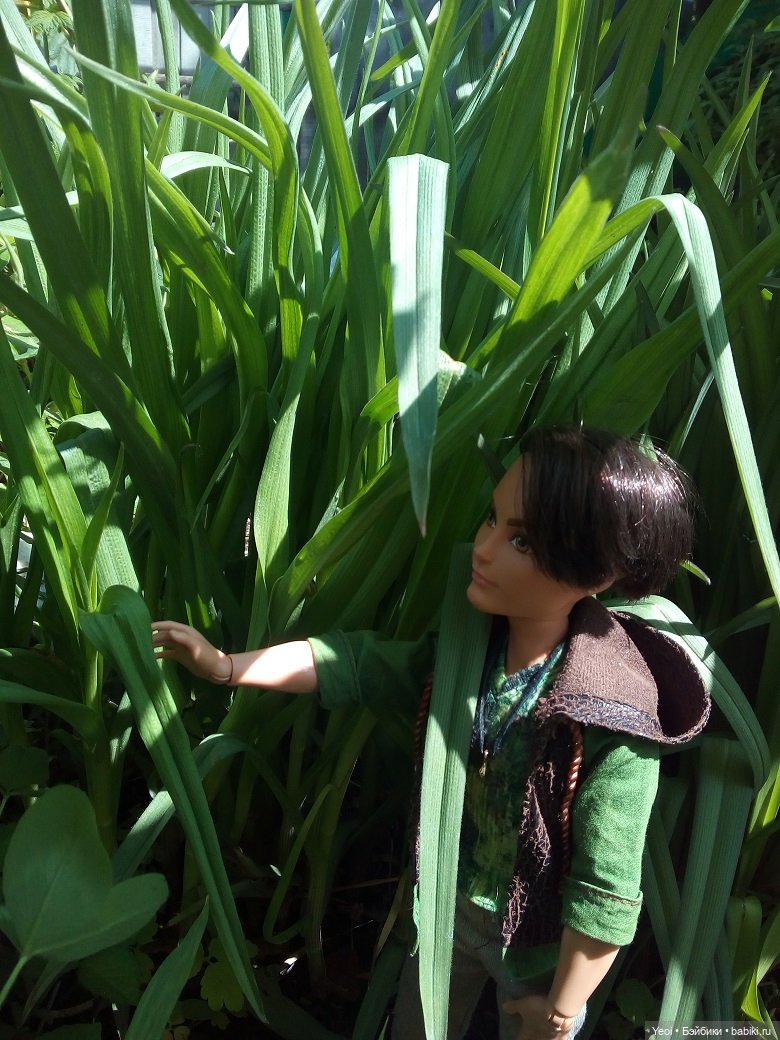 Прогулка с Хантером ЭАХ и Лошадью Лив