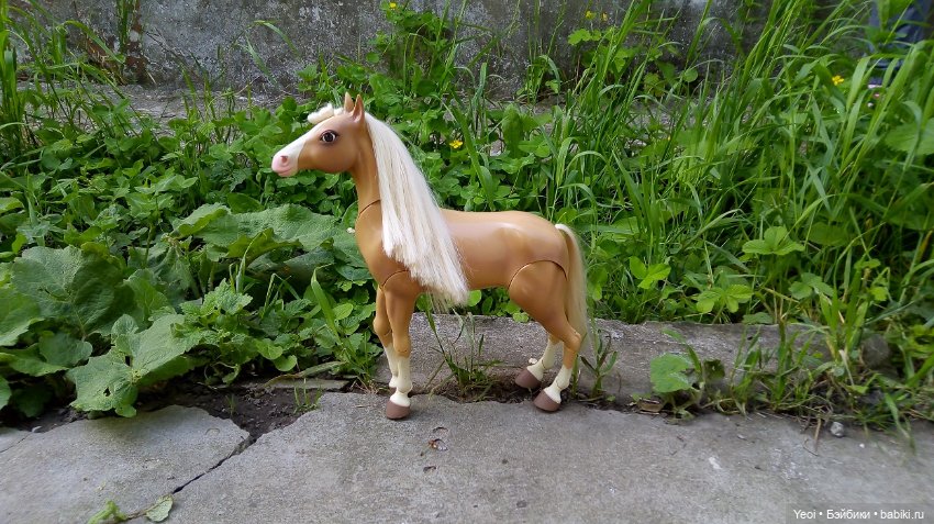 Прогулка с Хантером ЭАХ и Лошадью Лив