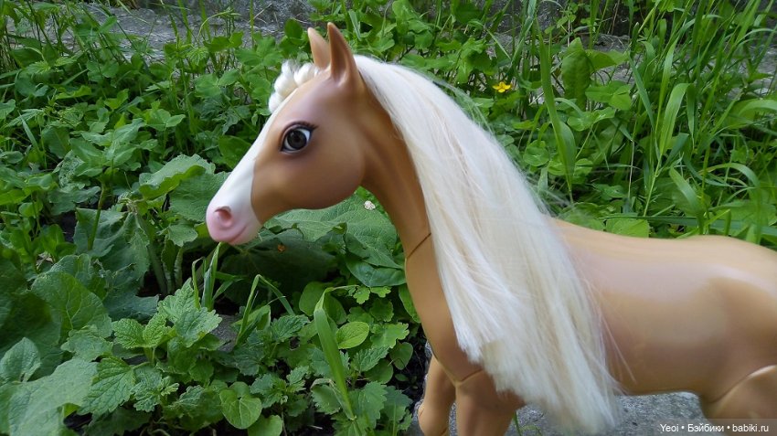 Прогулка с Хантером ЭАХ и Лошадью Лив