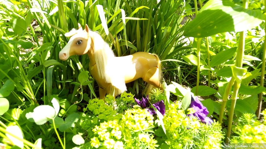 Прогулка с Хантером ЭАХ и Лошадью Лив