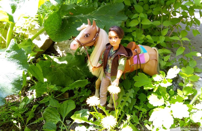 Прогулка с Хантером ЭАХ и Лошадью Лив