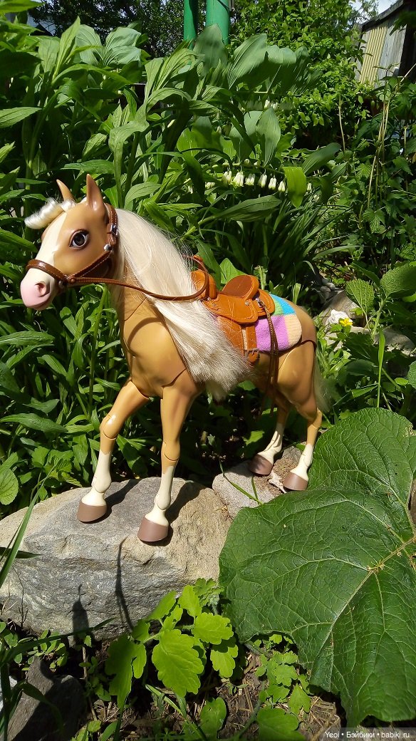 Прогулка с Хантером ЭАХ и Лошадью Лив