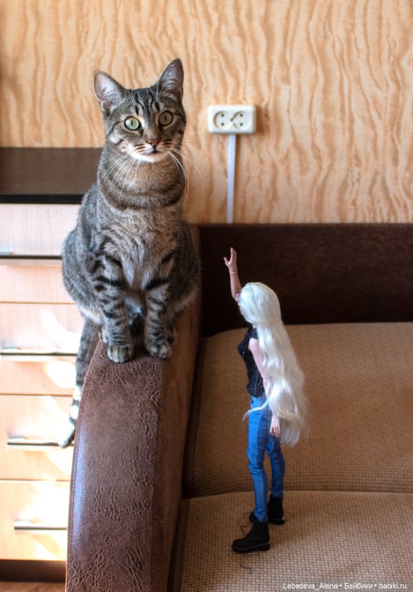 Мои новенькие — Авторские куклы BJD (БЖД) у нас дома: фото