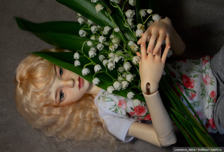 Моя идеальная кукла — Куклы Dollstown (Доллстаун): BJD (БЖД) (фото 4)