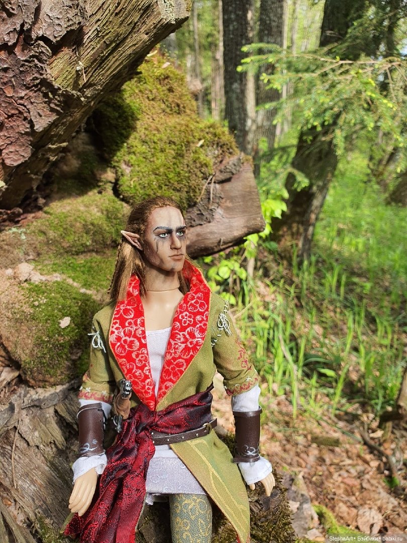 Эльдайн. Эльф с непростой судьбой из вселенной Ведьмака (фото 3)