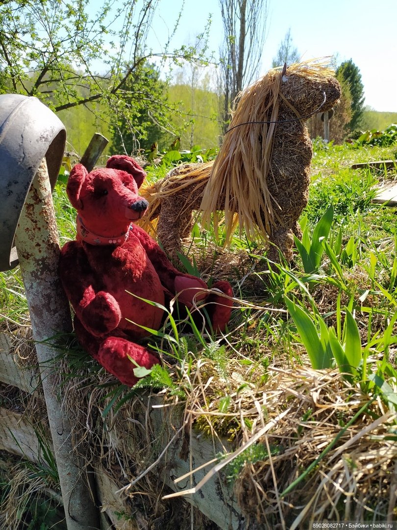 Фотосессия — Авторские мишки Тедди и друзья: фото (фото 4)