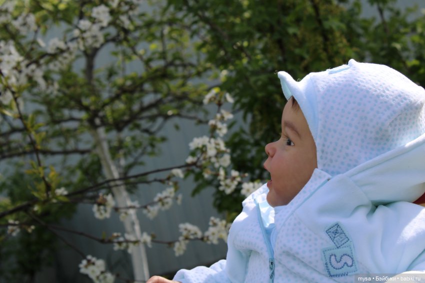 Весна, солнышко, Яник на природе (фото 4)