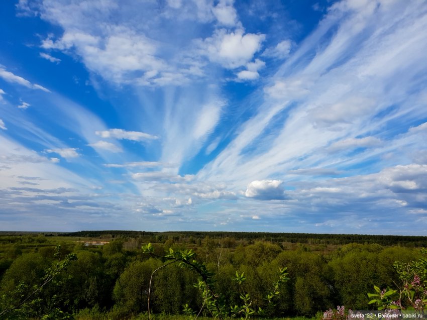 Усадьба Халецких в деревне Хальч. Беларусь (фото 5)