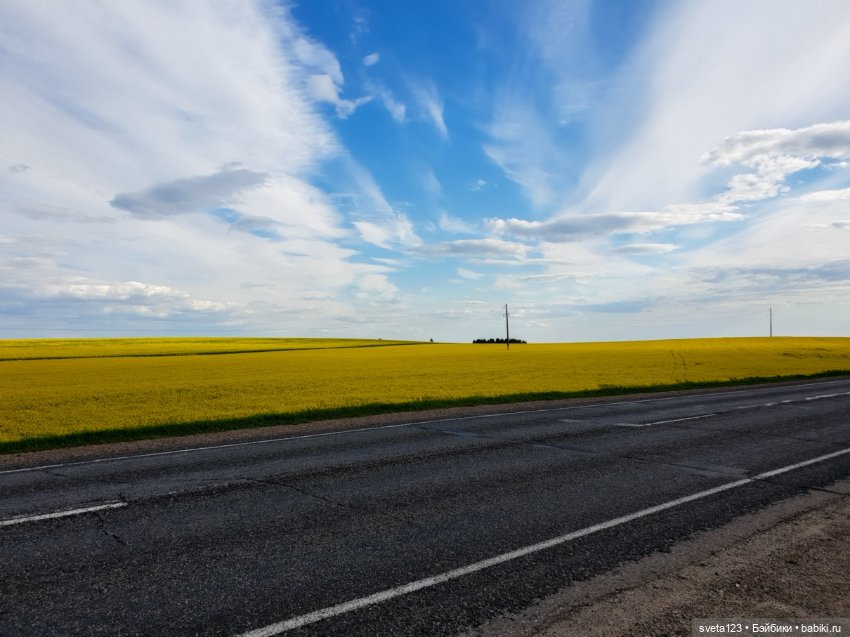 Усадьба Халецких в деревне Хальч. Беларусь (фото 8)