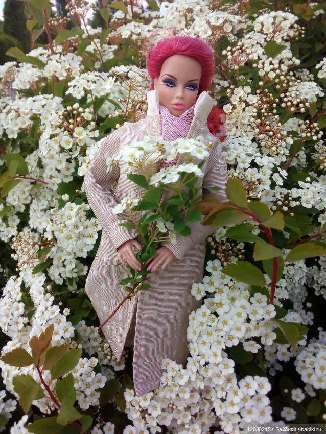 Долгожданная прогулка — Болталка и разговоры обо всем: жизнь (фото 3)