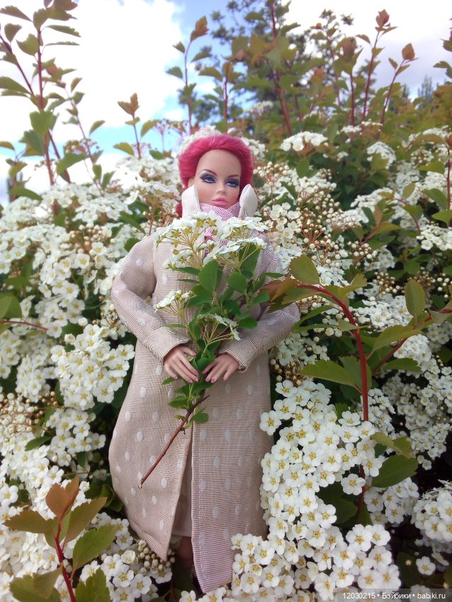 Долгожданная прогулка — Болталка и разговоры обо всем: жизнь